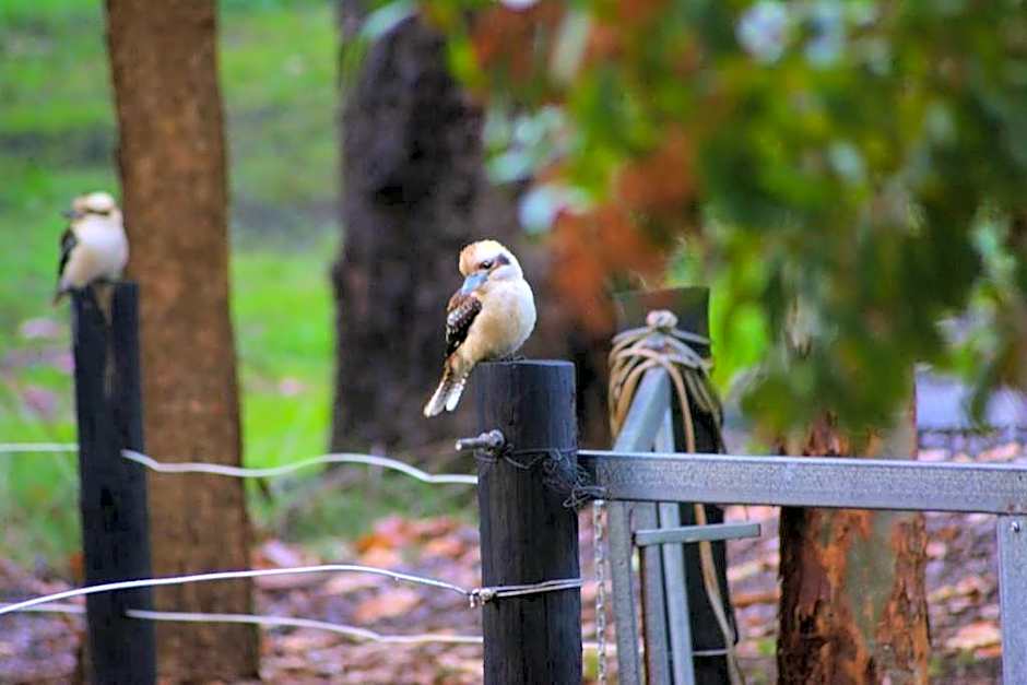 Black Cockatoo Lodge