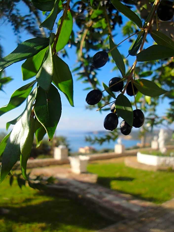 Ocean Front Studios 77