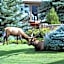 Quality Inn near Rocky Mountain National Park