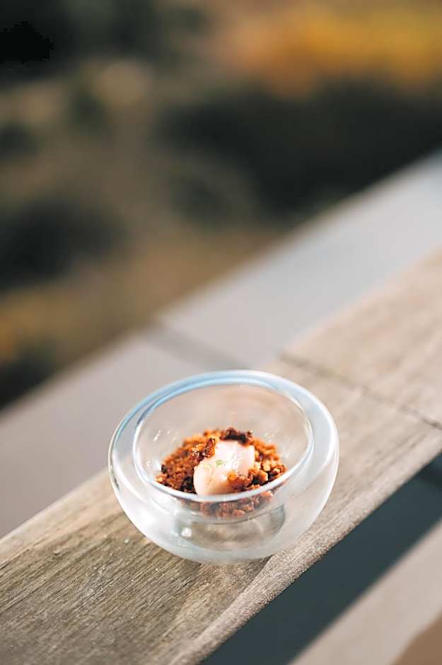 Domaine Riberach - Restaurant étoilé - Spa - Piscine naturelle - Vignoble bio