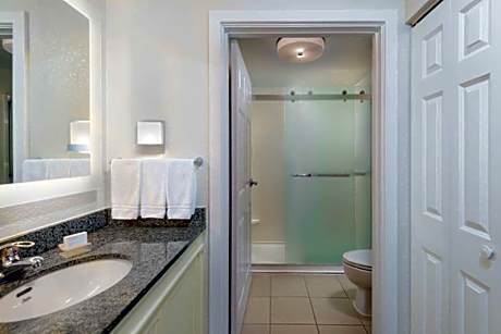 1 King Bed Studio Suite Nonsmoking