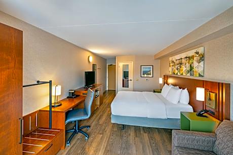 1 Queen Bed Nonsmoking Accessible