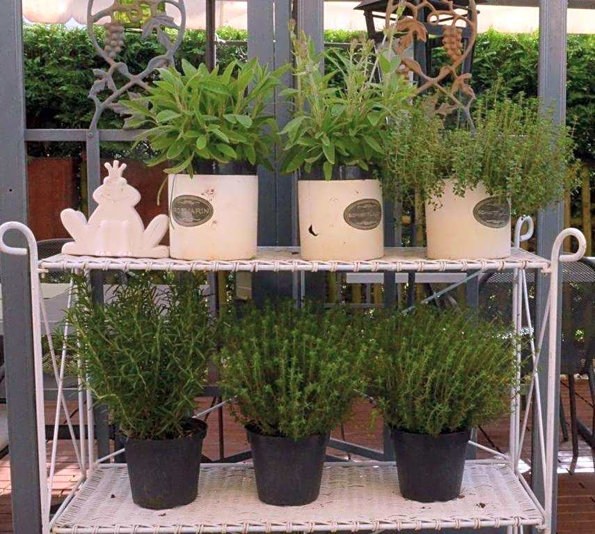 Hotel Restaurant Kutchi