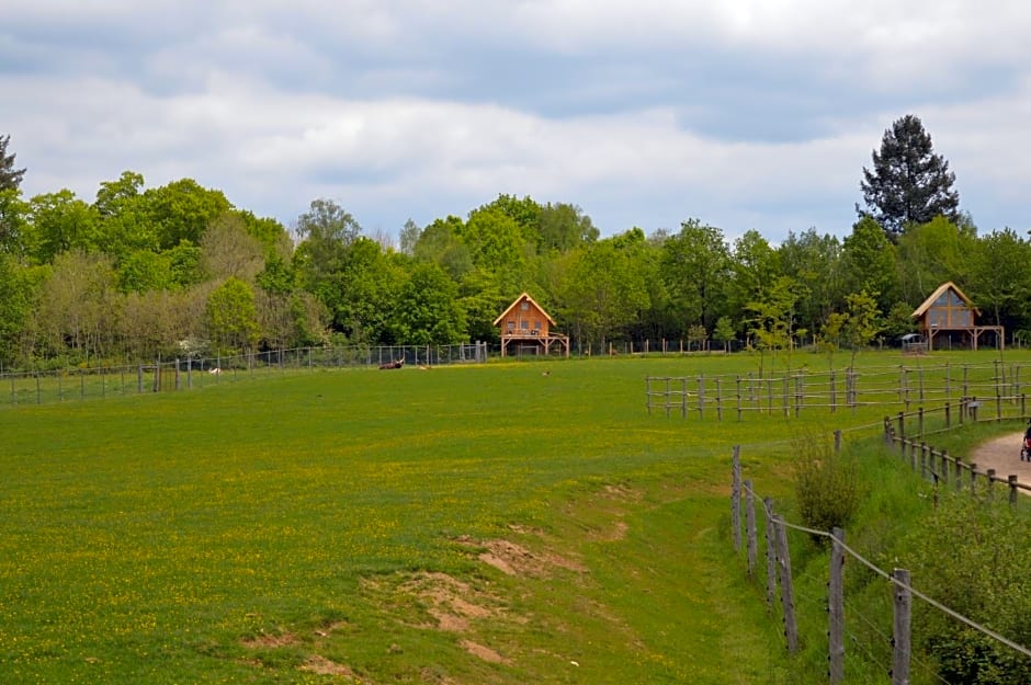 Les Lodges Du Reynou