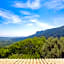 Magia dell'Aspromonte