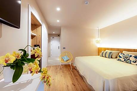 Superior Deluxe Double or Twin Room