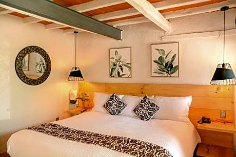 King Room - Pet Friendly