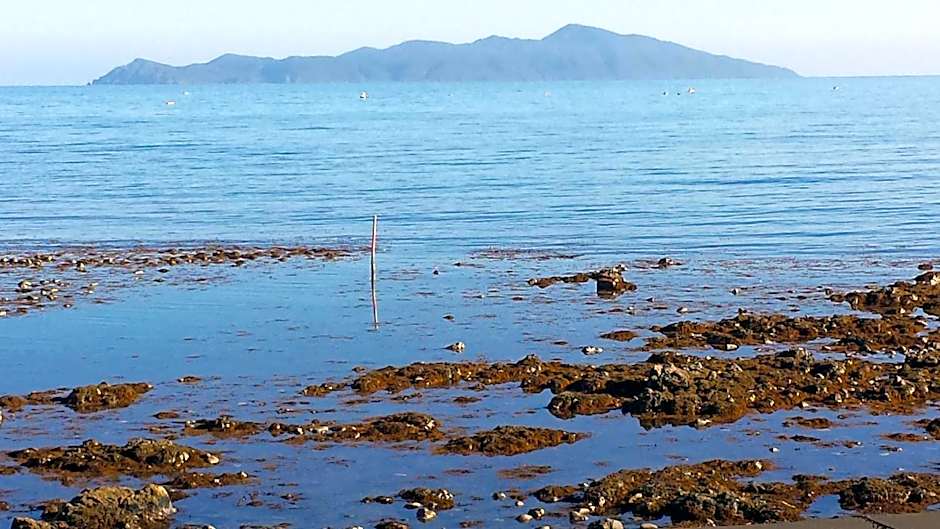 Kapiti Waves Bed & Breakfast