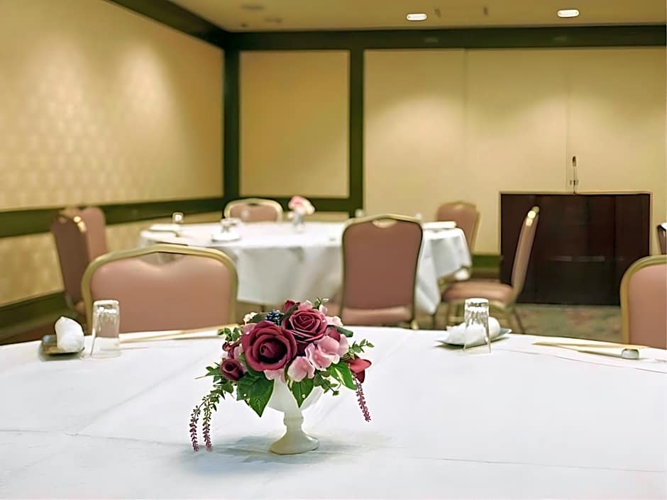 Hotel Machida Villa