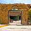 Selina Cancun Downtown