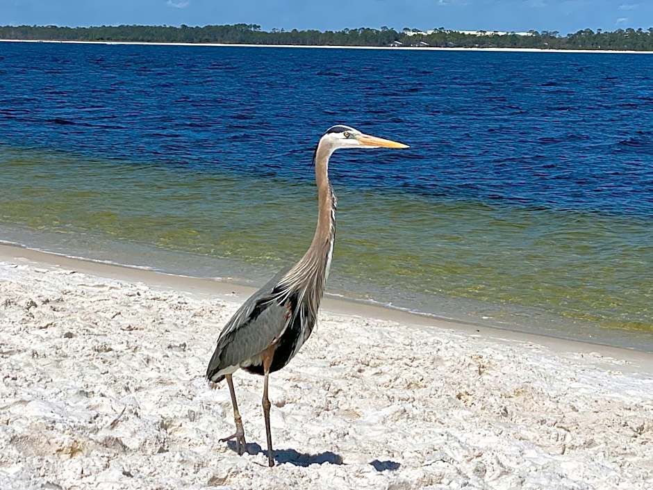 Your Beach Therapy Awaits at Sans Souci