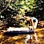 Holistic retreat Coco