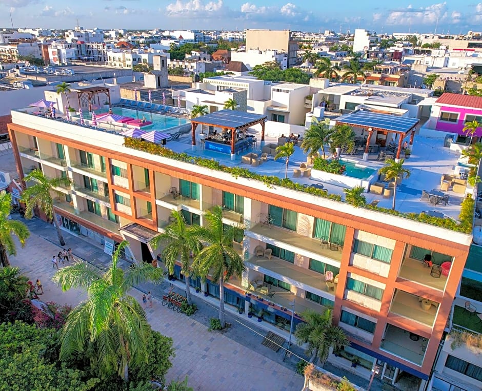 The Palm at Playa