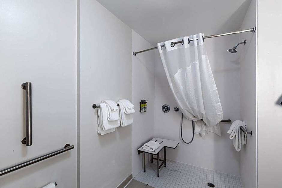 Holiday Inn Express and Suites Columbia Downtown- The Vista By IHG