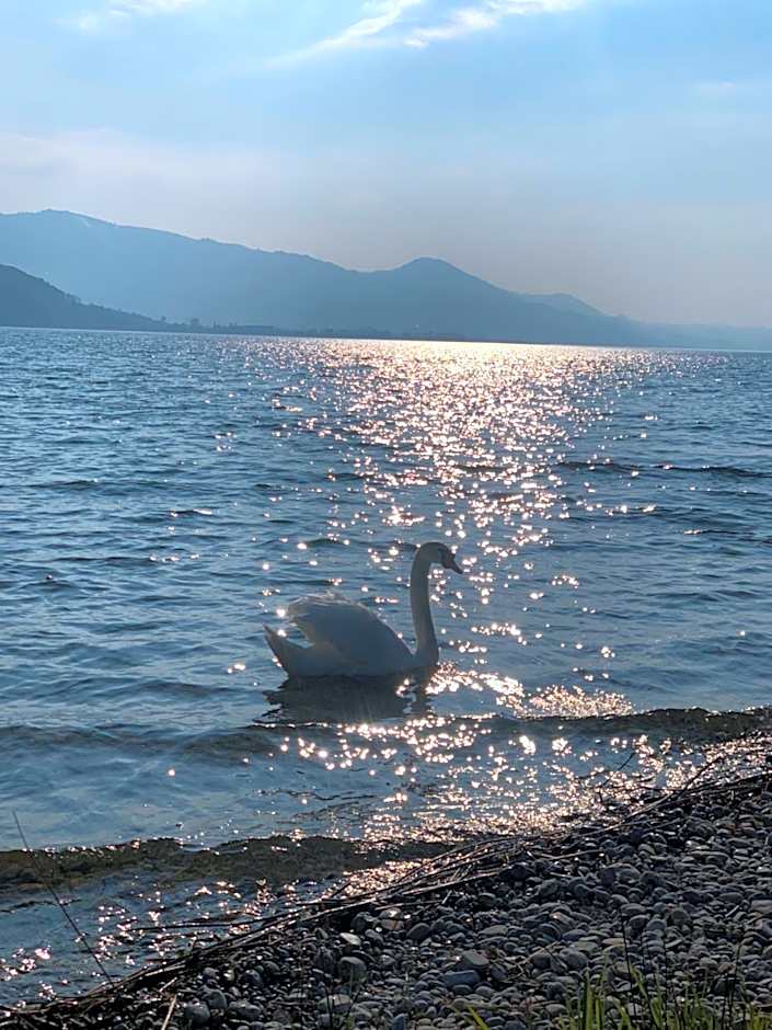 Strandhotel Schmerikon