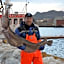 Sjøstrand Rorbuer