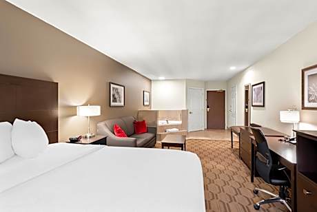 Suite-1 King Bed Non-Smoking Whirlpool Microwave And Refrigerator Wi-Fi Full Breakfast