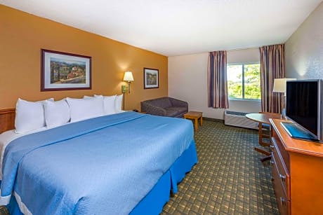 1 King Bed Business Room Smoking