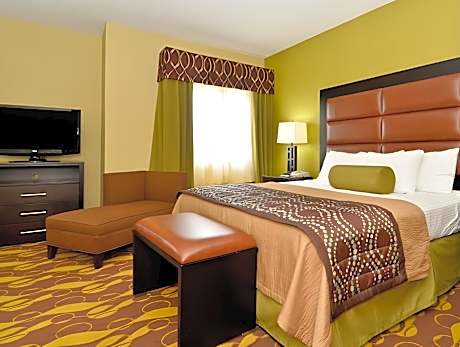1 King Bed