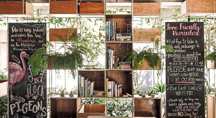 The Flying Fish Hostel