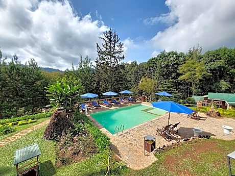 Lawns Hotel