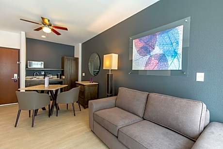 Junior Room (1 King Bed)