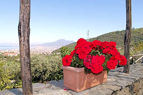 Agriturismo Casa Scola 