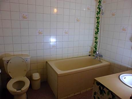 Korean-Style Double Room