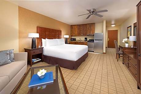 Standard Accessible King with Roll-In Shower