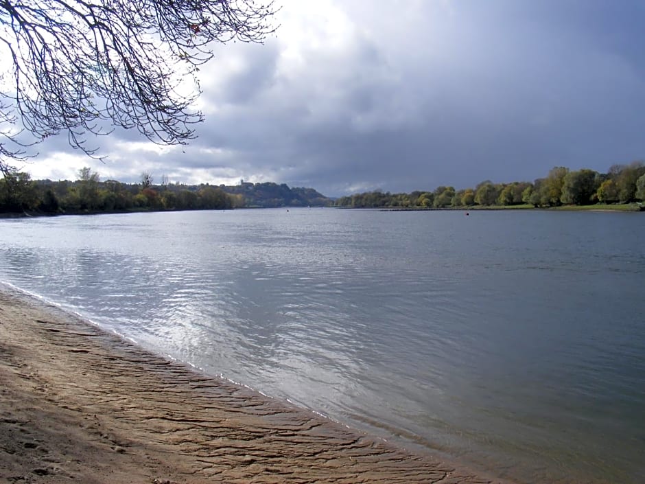 Chambres d'Hôtes Vignes et Loire