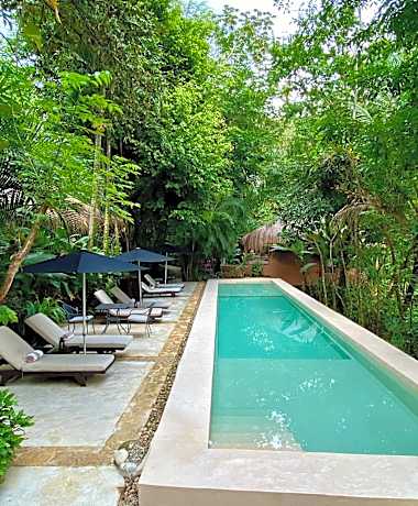 Piedra de Agua Palenque