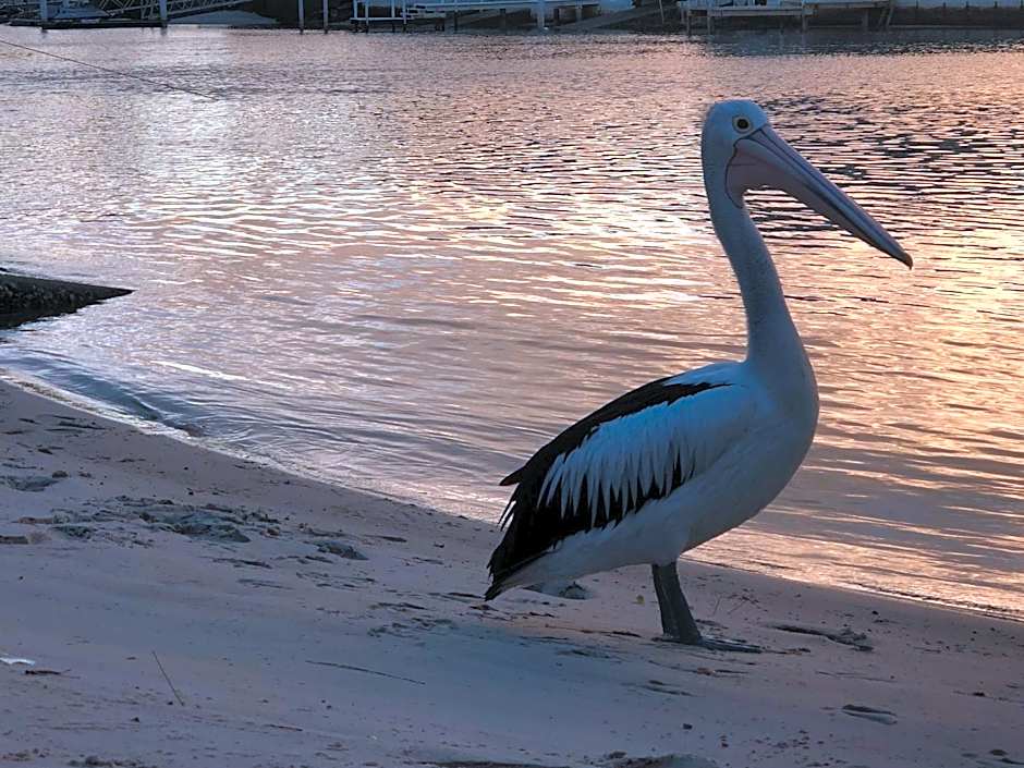 Pelican Cove Waterfront Apartment