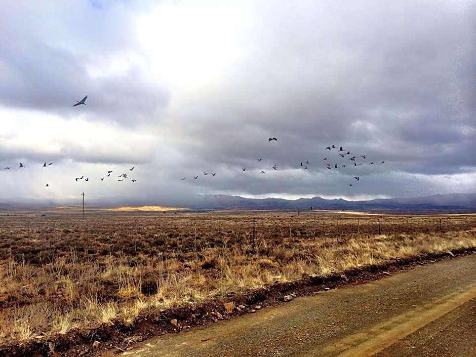 Sneeuberg Nature Reserve