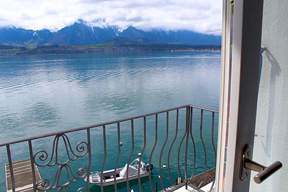 Hotel Restaurant Bellevue au Lac