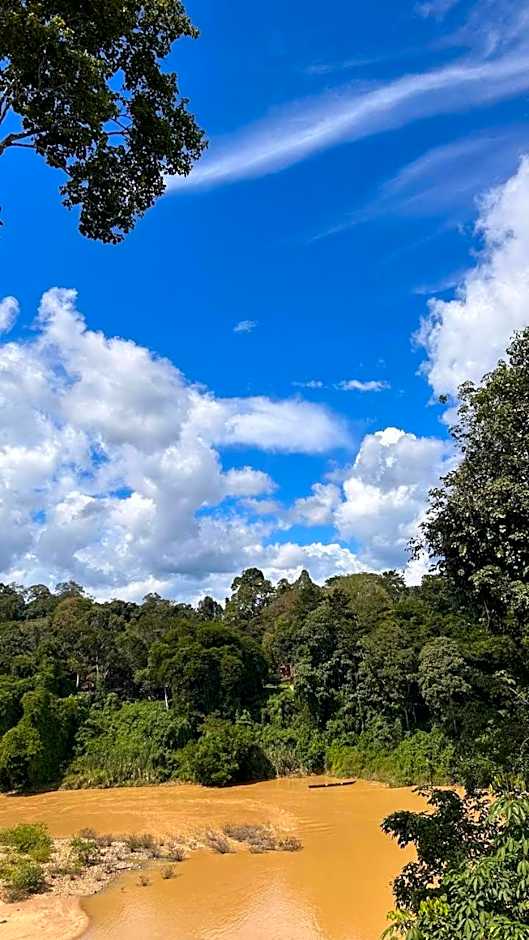 Taman Negara River View Lodge