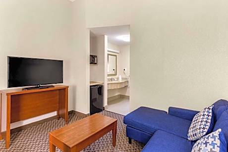 1 King Bed, Suite, Nonsmoking