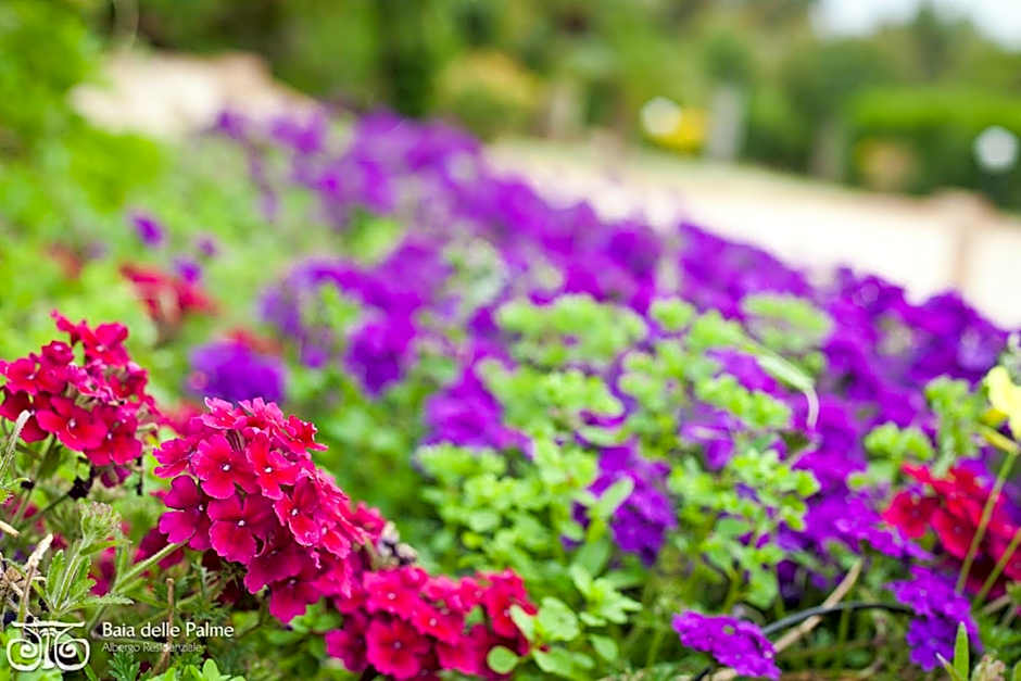 Baia Delle Palme Beach