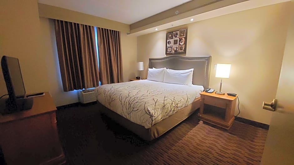 Best Western Plus Waterloo