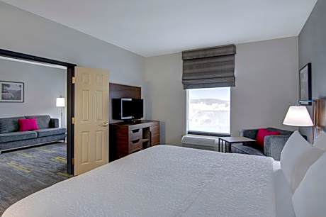 1 King Bed 1Bdrm Suite W/ Sofabed Nonsmoking