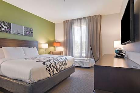 King Room - Non-Smoking