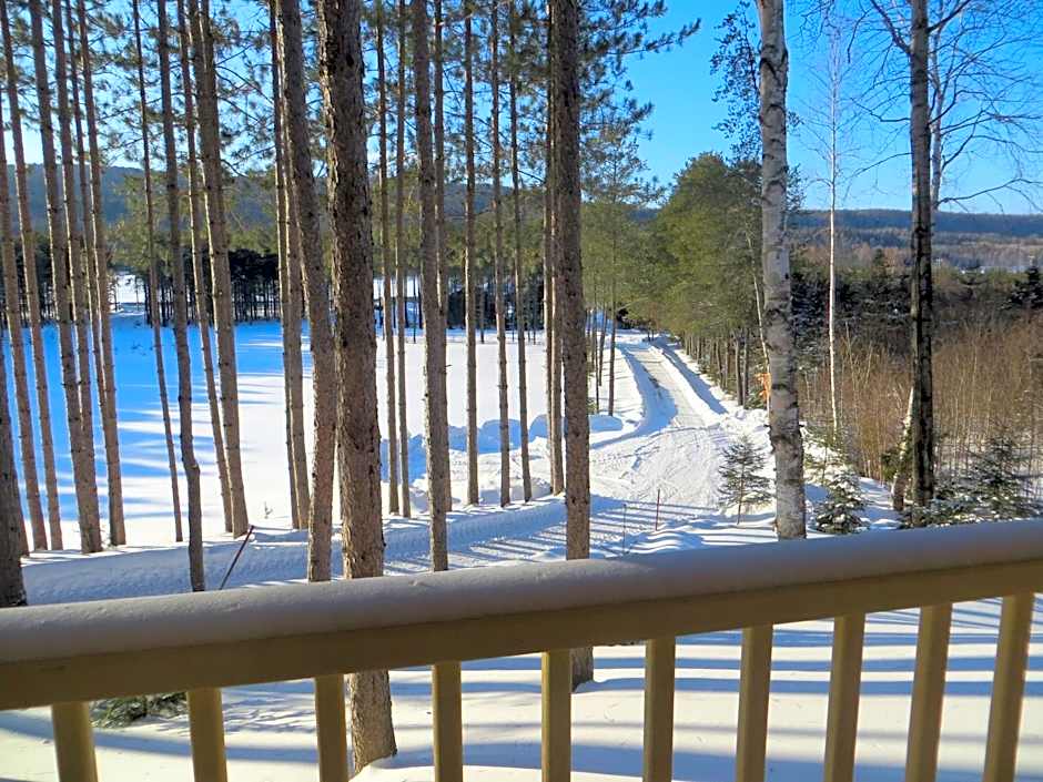 La maison sous les arbres