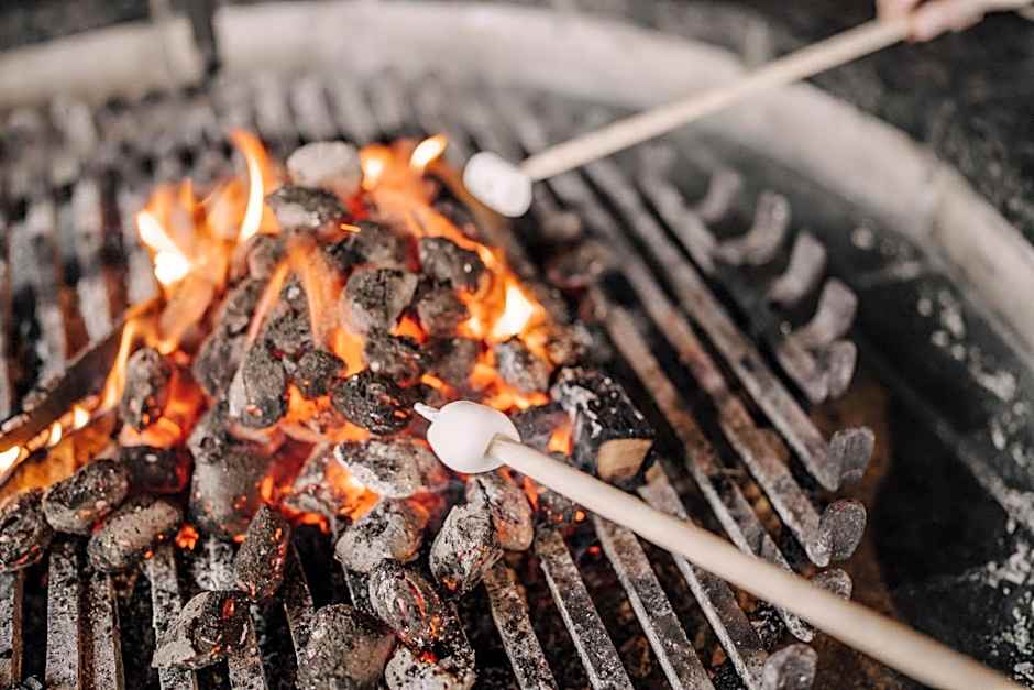 ASTER Boutique Hotel & Chalets