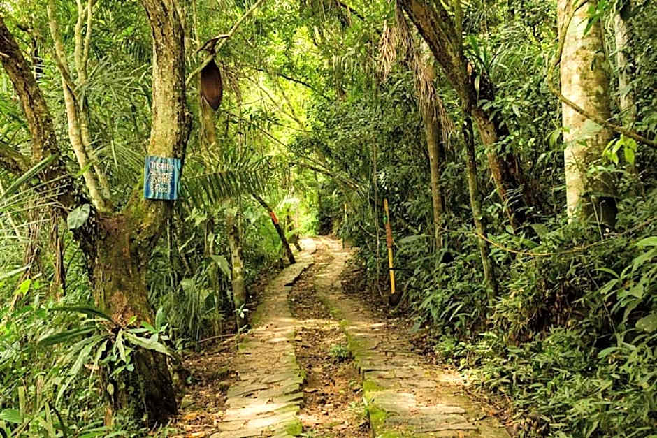 ReMo Treehouse Hostel