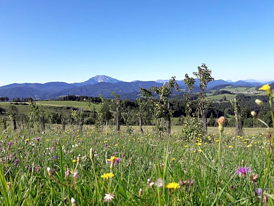 Ötscherblick Fam Winter