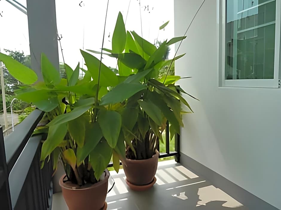 Grandma Kaew House