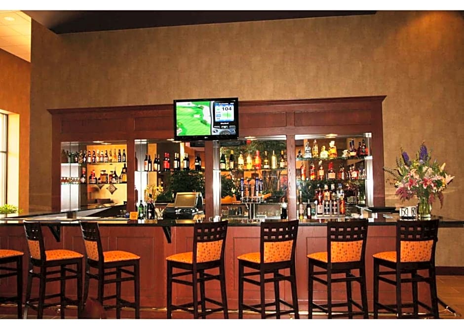 Embassy Suites by Hilton Minneapolis North