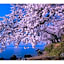 Kishida House - Vacation STAY 36589v