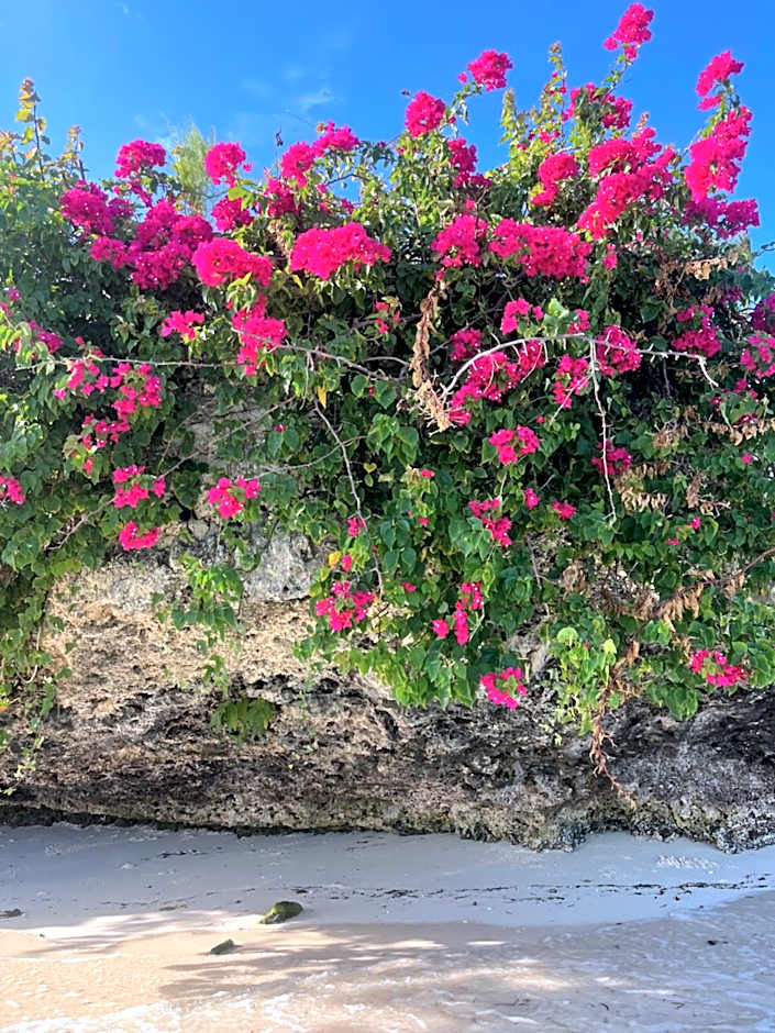 Malcom Ocean View Retreat