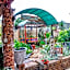 Berghaan Pretoria