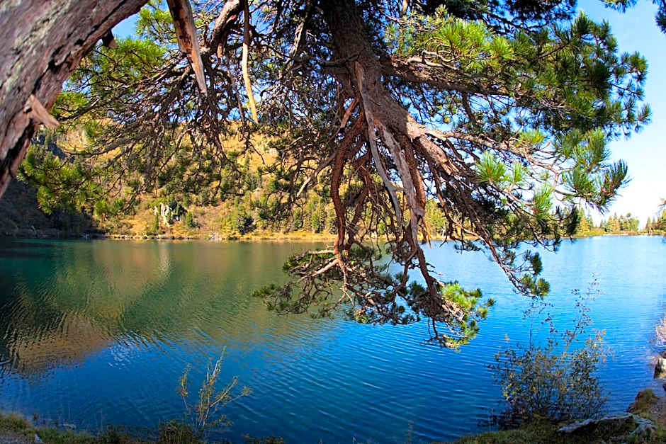 Landhotel Lacknerhof